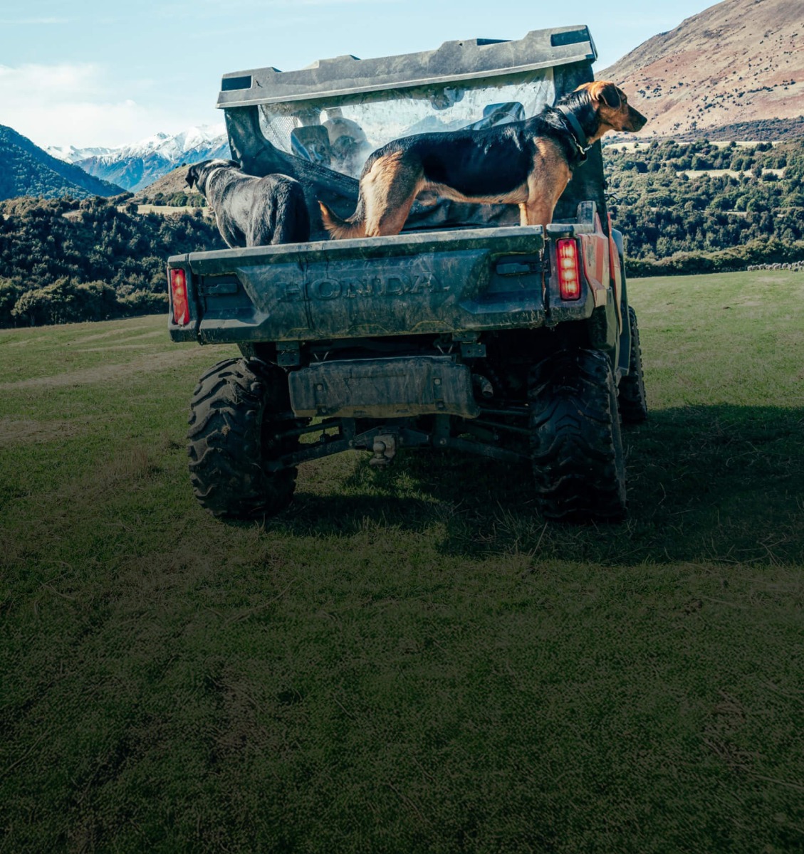 Capacity Pioneer_Hub_Capacity_Mobile_1600_x_1700