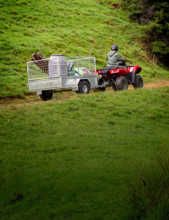 Tows The Line Tows The Line