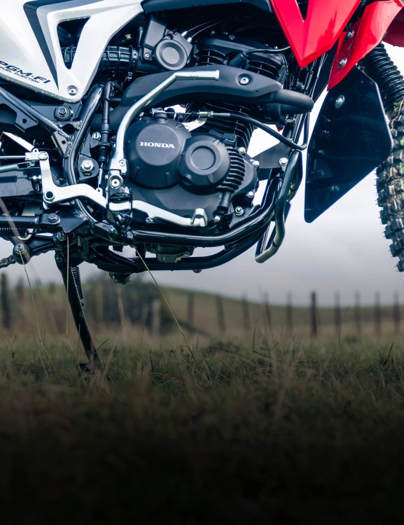 Fuel Injected 184cc Engine