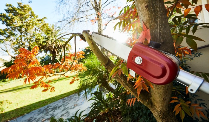 Cut branches down to size Cut branches down to size